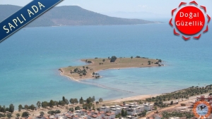 Didim Saplı Ada