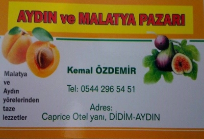 Aydın ve Malatya Pazarı